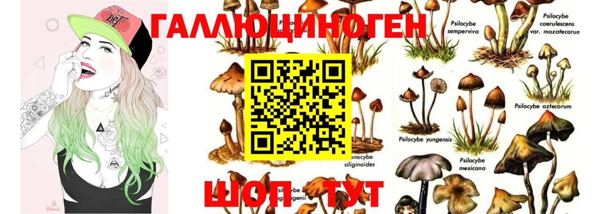 Псилоцибиновые грибы GOLDEN TEACHER Кузнецк