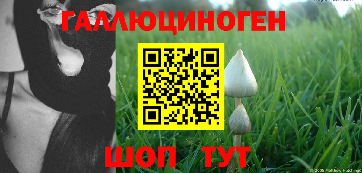 Кузнецк  Галлюциногенные грибы мицелий  Галлюциногенные грибы Magic Shrooms  Вход с VPN 